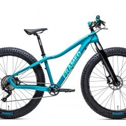 Framed Minnesota Carbon - Carbon Fork - Women's Fat 27.5"