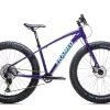 Framed Minnesota LTD Fat Bike Womens