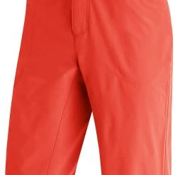 CLOTHING Gore Wear Passion Bike Shorts Mens 25 CLOTHING Gore Wear Passion Bike Shorts Mens