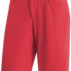 CLOTHING Gore Wear Passion Bike Shorts Womens